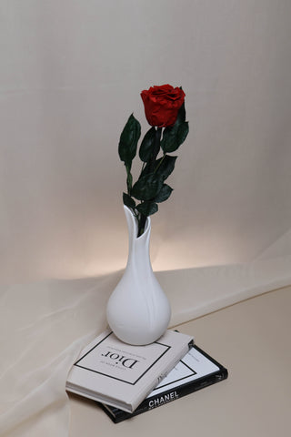 BELLA – WHITE BUD VASE