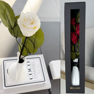 BELLA – WHITE BUD VASE